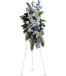 Ocean Breeze Spray from Westbury Floral Designs in Westbury, NY